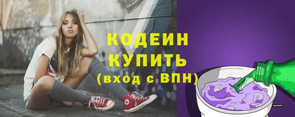 хмурый Волосово