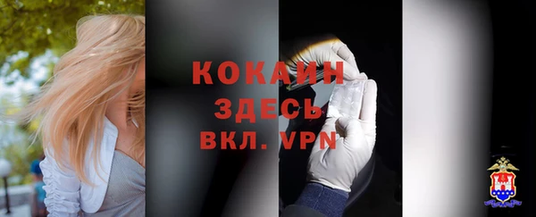 прущие грибы Щучье