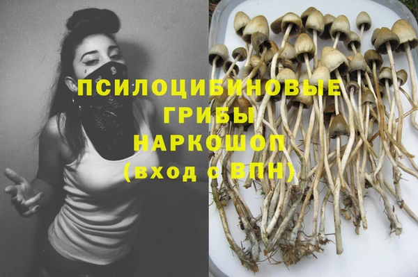 хмурый Волосово