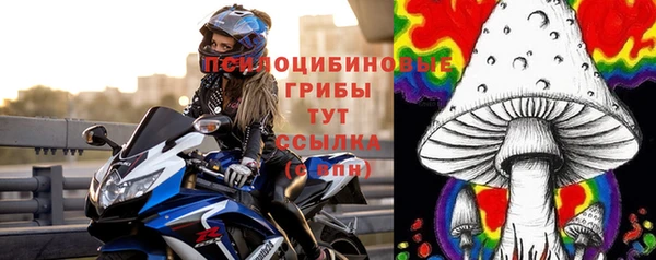 хмурый Волосово