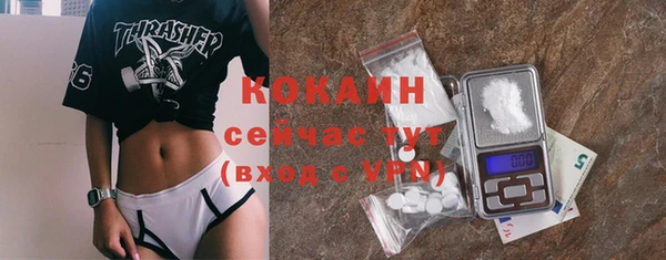 сатива Волоколамск