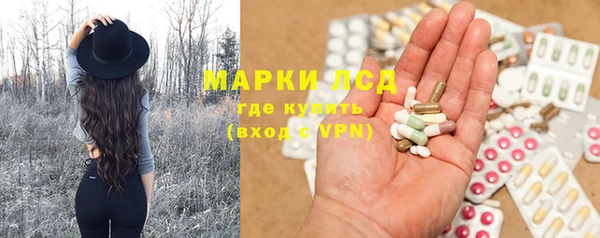 сатива Волоколамск
