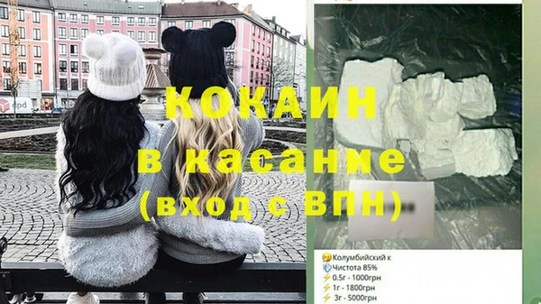 сатива Волоколамск